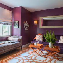 Sisustus violettisävyisinä: yhdistelmät, yleiskatsaus huoneista, 70 valokuvaa-16