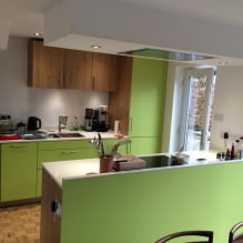 Set dapur hijau: ciri pilihan, kombinasi, 60 foto-15