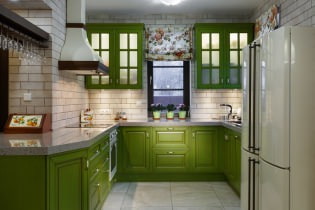 Zaļās virtuves komplekts: izvēles iespējas, kombinācijas, 60 fotogrāfijas