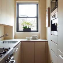 Set beige di bahagian dalam dapur: reka bentuk, gaya, kombinasi (60 foto) -5
