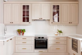Béžová súprava v interiéri kuchyne: dizajn, štýl, kombinácie (60 fotografií)