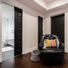 Tmavé dvere v interiéri: kombinácia s farbou podlahy, stien, nábytku (60 fotografií) -5