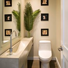 تصميم داخلي صغير للمرحاض: الميزات والتصميم واللون والأناقة وأكثر من 100 صورة -1