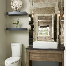 تصميم داخلي صغير للمرحاض: الميزات والتصميم واللون والأناقة وأكثر من 100 صورة 7