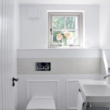 Lille toiletindretning: funktioner, design, farve, stil, 100+ fotos-18
