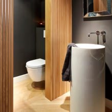 Lille toiletindretning: funktioner, design, farve, stil, 100+ fotos-22