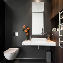 Interno del bagno piccolo: caratteristiche, design, colore, stile, oltre 100 foto-5