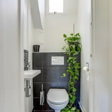 Bahagian dalam tandas kecil: ciri, reka bentuk, warna, gaya, 100+ gambar-0