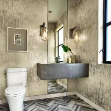 Malý interiér toalety: funkcie, dizajn, farba, štýl, viac ako 100 fotografií-19