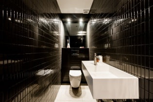Nội thất nhà vệ sinh nhỏ: đặc điểm, thiết kế, màu sắc, kiểu dáng, hơn 100 ảnh