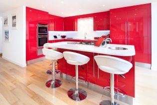 Sarkanais virtuves komplekts: funkcijas, veidi, kombinācijas, stila izvēle un aizkari