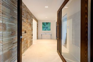 Kámen v interiéru chodby: povrchové úpravy, typy, barvy, styly a kombinace