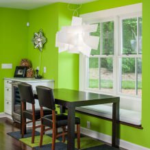 Lichtgroene kleur in het interieur: combinaties, stijlkeuze, decoratie en meubels (65 foto's) -2