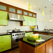İç mekanda açık yeşil renk: kombinasyonlar, stil seçimi, dekorasyon ve mobilya (65 fotoğraf) -4