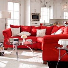 Κόκκινος καναπές στο εσωτερικό: τύποι, σχέδιο, συνδυασμός με ταπετσαρία και κουρτίνες-8