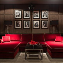 İç mekandaki kırmızı kanepe: çeşitleri, tasarımı, duvar kağıdı ve perdelerle kombinasyonu-29