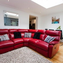 Punainen sohva sisätiloissa: tyypit, muotoilu, yhdistelmä tapetteja ja verhoja-0