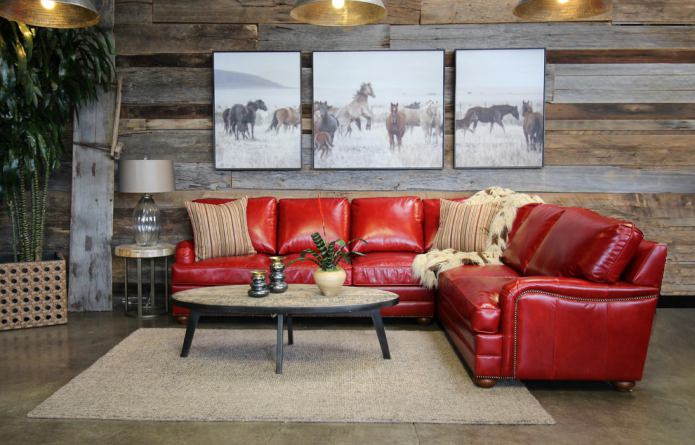 İç mekandaki kırmızı kanepe: çeşitleri, tasarımı, duvar kağıdı ve perdelerle kombinasyonu