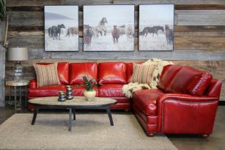 Sofa merah di pedalaman: jenis, reka bentuk, kombinasi dengan kertas dinding dan langsir