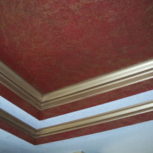 Paper pintat líquid al sostre: foto a l'interior, exemples moderns de disseny-4