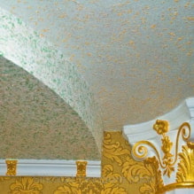 ورق جدران سائل على السقف: صورة في الداخل ، أمثلة حديثة للتصميم -5