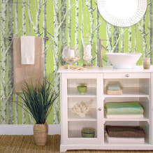 Paper pintat de color verd clar a l'interior: tipus, idees de disseny, combinació amb altres colors, cortines, mobles-4