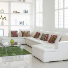 Λευκός καναπές στο εσωτερικό: 70 μοντέρνες φωτογραφίες και ιδέες σχεδιασμού-0