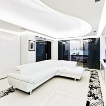 Balts dīvāns interjerā: 70 mūsdienu fotogrāfijas un dizaina idejas-1