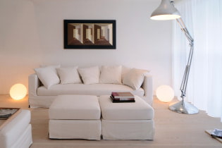 Sofà blanc a l'interior: 70 fotos modernes i idees de disseny