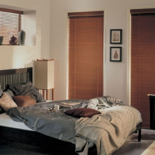 Persianes al dormitori: característiques de disseny, tipus, materials, color, combinacions, foto-3