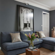 Sofa kelabu di pedalaman: jenis, foto, reka bentuk, kombinasi dengan kertas dinding, langsir, hiasan-2
