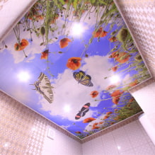 Τεντωμένες οροφές με εκτύπωση φωτογραφιών: τύποι, ιδέες σχεδιασμού, σχέδια (φύση, λουλούδια, ζώα κ.λπ.), φωτισμός-1