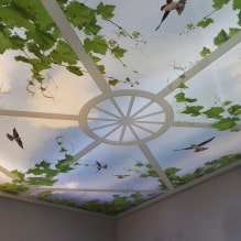 Stretch stropy s 3D efektom: dizajn a výkresy, príklady v interiéri miestností-2