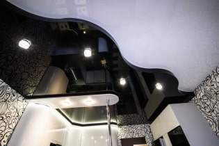 Черно-бял опънат таван: видове конструкции, текстури, форми, опции за дизайн