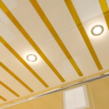 Raf tavanı: fotoğraf, türler (ahşap, plastik, metal, alüminyum), şekil, tasarım, renk-0