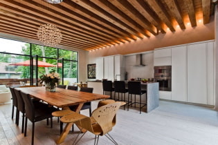 Dřevěný strop: typy, design, barva, osvětlení, příklady v půdních stylech, minimalismus, klasika, provence