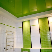 Zelený strop: design, odstíny, kombinace, typy (streč, sádrokarton, malba, tapety) -3