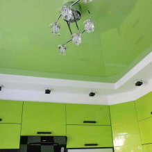 Tavan verde: design, nuanțe, combinații, tipuri (stretch, gips-carton, pictură, tapet) -5