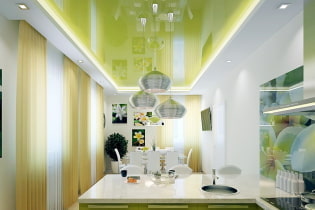 Groen plafond: ontwerp, tinten, combinaties, typen (stretch, gipsplaten, schilderen, behang)