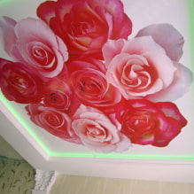 Plafond rose : types (tendus, plaques de plâtre, etc.), nuances, combinaisons, éclairage-8