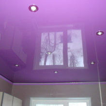 Plafond lilas : types (stretch, placoplâtre, etc.), combinaisons, design, éclairage-7