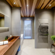 Griesti vannas istabā: apdares veidi pēc materiāla, dizaina, krāsas, dizaina, apgaismojuma-0