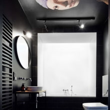 Soffitto nella toilette: tipi per materiale, costruzione, trama, colore, design, illuminazione-2