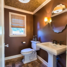 Soffitto nella toilette: tipi per materiale, costruzione, trama, colore, design, illuminazione-6