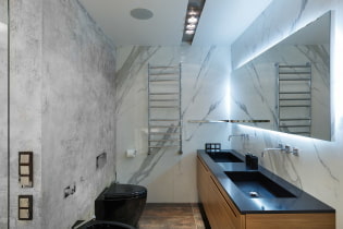 Soffitto nella toilette: tipi per materiale, costruzione, trama, colore, design, illuminazione