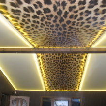 Plafond tendu texturé : imitation bois, plâtre, brocart, miroir, béton, cuir, soie, etc.-0