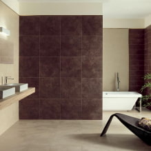 Sienu apdare vannas istabā: veidi, dizaina iespējas, krāsas, dekoru piemēri-1