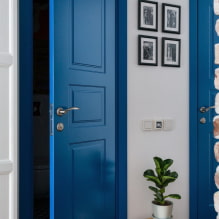 Πόρτες σε σκανδιναβικό στιλ: τύποι, χρώμα, σχέδιο και διακόσμηση, επιλογή αξεσουάρ-2