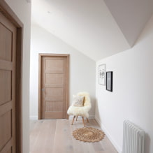 Pintu dalam gaya Skandinavia: jenis, warna, reka bentuk dan hiasan, pilihan aksesori-8