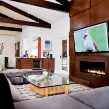 Televisió a la llar de foc: vistes, elecció de la ubicació, exemples en diversos estils-1